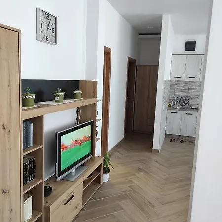 Andrea Airport Apartment