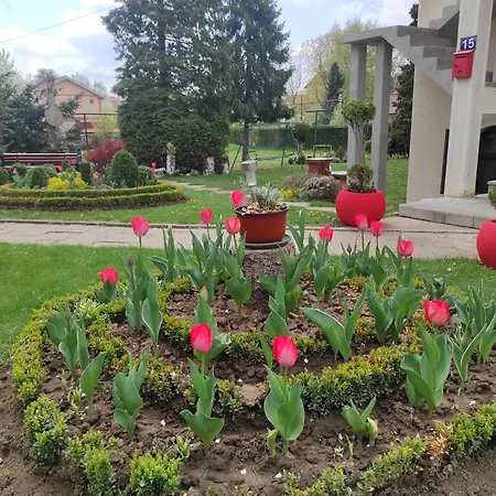 Apartment Andrea Airport *