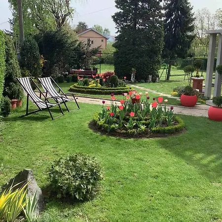 Andrea Airport Belgrade